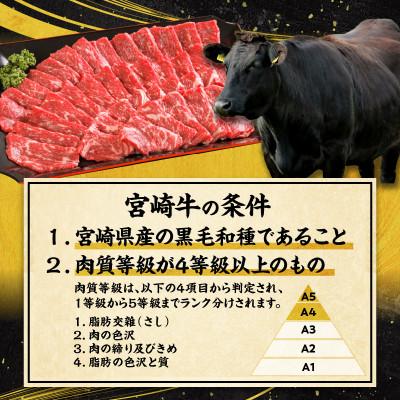 ふるさと納税 宮崎市 宮崎牛モモ・ウデ赤身焼肉1kg |  | 01