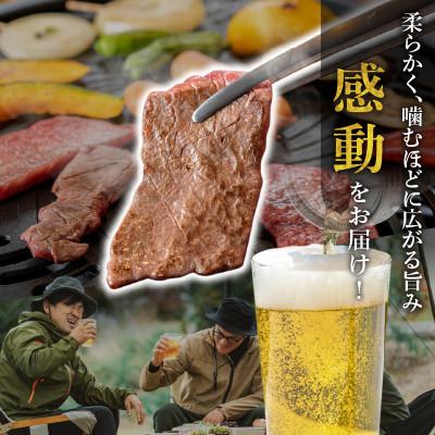 ふるさと納税 宮崎市 宮崎牛モモ・ウデ赤身焼肉1kg |  | 02