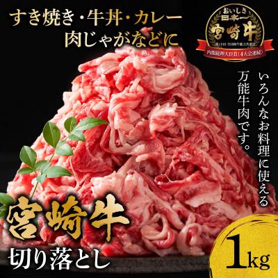ふるさと納税 宮崎市 宮崎牛切り落とし1kg(バラ ウデ モモ ネック)[500g×2パック]( 小分け)