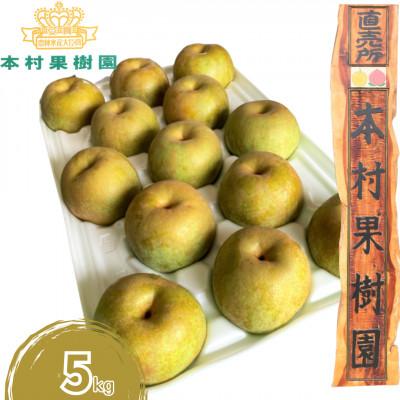 ふるさと納税 錦町 [先行予約!2026年発送] 熊本県 錦町 旬の梨 約5kg [本村果樹園]