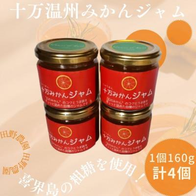 ふるさと納税 さつま町 十万温州みかんジャム(計4個・1個160g)