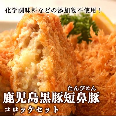 ふるさと納税 姶良市 鹿児島黒豚「短鼻豚(たんびとん)」コロッケ6個セット[a-105]