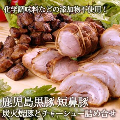 ふるさと納税 姶良市 鹿児島黒豚「短鼻豚(たんびとん)」チャーシューと炭火焼豚詰合せ[a-008](姶良市)