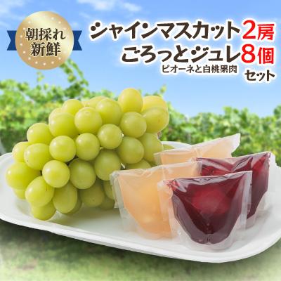 ふるさと納税 津山市 [2026年度発送分]朝採れ新鮮シャインマスカット2房&amp;ピオーネと白桃果肉ごろっとジュレセット