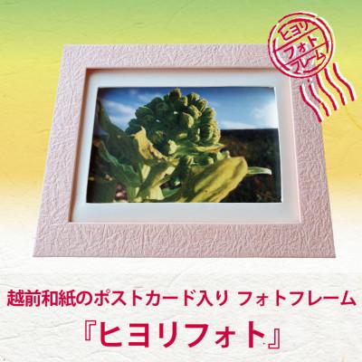 ふるさと納税 あわら市 越前和紙のポストカードとフレーム『ヒヨリフォト』福井の癒しの風景ポストカード入り フレーム色:桃