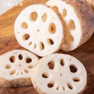 ふるさと納税 宇城市 【先行予約】 熊本県産 宇城市 レンコン 斉藤さん家の 「生」 れんこん 約2kg |  | 01