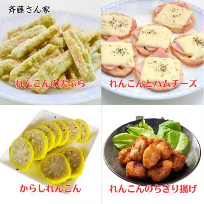 ふるさと納税 宇城市 【先行予約】 熊本県産 宇城市 レンコン 斉藤さん家の 「生」 れんこん 約2kg |  | 02