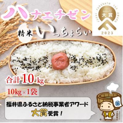 ふるさと納税 あわら市 [令和7年産] [一等米]ハナエチゼン 精米 10kg [発送直前精米!]