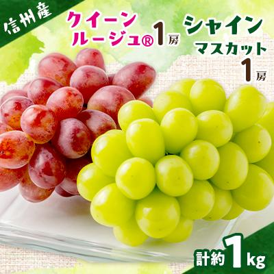 ふるさと納税 高山村 クイーンルージュ&amp;シャインマスカット 2房セット