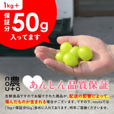 ふるさと納税 笛吹市 山梨県笛吹市産　訳あり　粒1kg以上(+保証分50g)　シャインマスカット(種なしぶどう)フルーツ |  | 02
