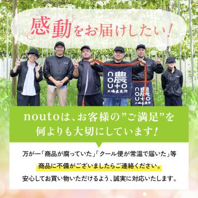 ふるさと納税 笛吹市 山梨県笛吹市産　訳あり　粒1kg以上(+保証分50g)　シャインマスカット(種なしぶどう)フルーツ |  | 03