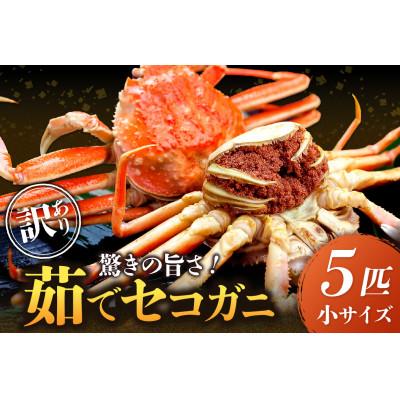 ふるさと納税 京丹後市 美味!驚きの旨さ!茹でセコガニ (訳あり)小サイズ5匹入(茹で上がり後1匹135g以上)