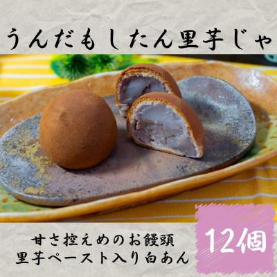 ふるさと納税 さつま町 うんだもしたん里芋じゃ(12個)鹿児島県さつま町産の里芋を使用した焼き菓子!