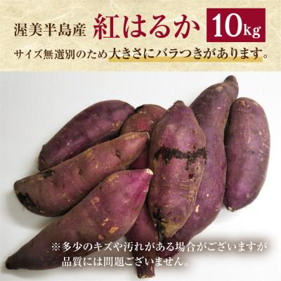 ふるさと納税 田原市 【先行受付】訳ありさつまいも 紅はるか10kg