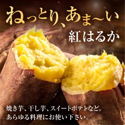 ふるさと納税 田原市 【先行受付】訳ありさつまいも 紅はるか10kg