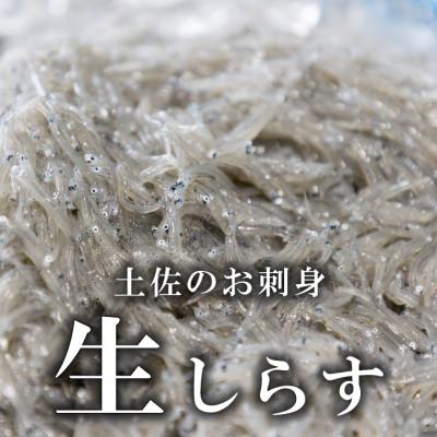 ふるさと納税 安芸市 土佐のお刺身「生しらす」3個セット <しらす出汁を使った特製のポン酢タレ付き>