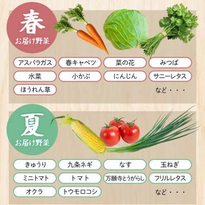 ふるさと納税 亀岡市 【訳あり】農家直送!佐伯の里の新鮮 季節の野菜セット 7〜10品目 |  | 02