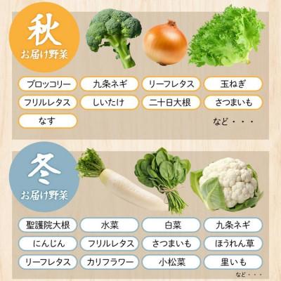 ふるさと納税 亀岡市 【訳あり】農家直送!佐伯の里の新鮮 季節の野菜セット 7〜10品目 |  | 03