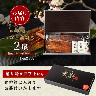 ふるさと納税 指宿市 鹿児島県産うなぎ蒲焼じっくり焼き約250g×2尾 IB021-001 |  | 03