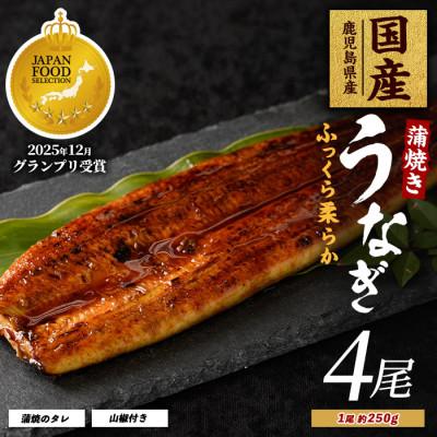 ふるさと納税 指宿市 鹿児島県産うなぎ蒲焼じっくり焼き約250g×4尾 IB021-003