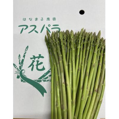 ふるさと納税 東かがわ市 はなまる農園のさぬきのめざめ 秀Sサイズ 合計1.1kg