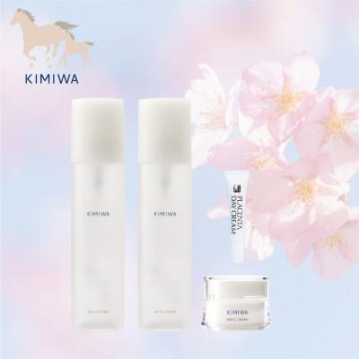 ふるさと納税 御船町 KIMIWA基本セット