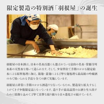 ふるさと納税 富山市 羽根屋 日本酒 720ml×2本 純米大吟醸 翼 & 純米
