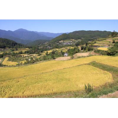 ふるさと納税 本山町 土佐あかうし　小間切れ　500g |  | 02