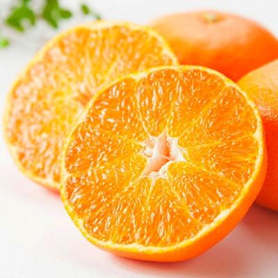 ふるさと納税 八幡浜市 愛媛の高級柑橘の一つ!「甘平(かんぺい)」約2.5kg入【訳あり】【C28-41】 |  | 03