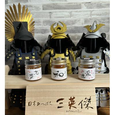 ふるさと納税 稲沢市 日本みつばちはちみつ三英傑(30g×3本)