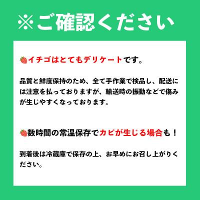 ふるさと納税 伊万里市 【2027年発送先行受付】佐賀産 いちごさん8パック(伊万里市)_2
