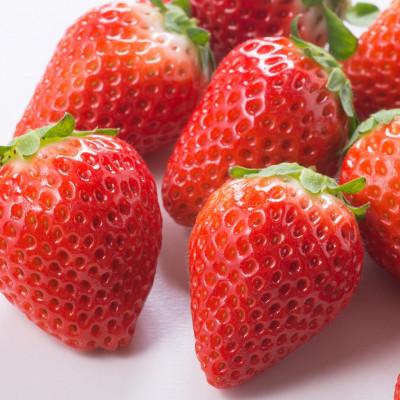ふるさと納税 吉野ヶ里町 [2026年発送先行受付]佐賀産 さがほのか3パック(吉野ヶ里町)