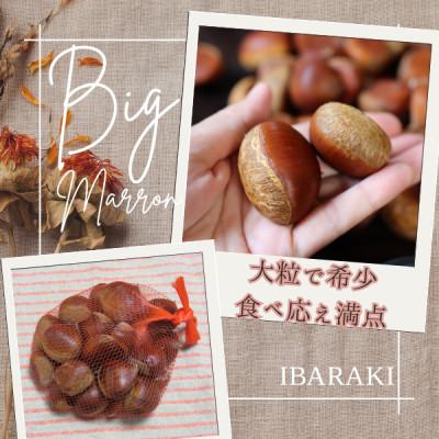 ふるさと納税 かすみがうら市 2026年産!大粒生栗 先行予約受付中 かすみがうら市産　生栗　3Lサイズ 2kg |  | 01