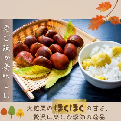 ふるさと納税 かすみがうら市 2026年産!大粒生栗 先行予約受付中 かすみがうら市産　生栗　3Lサイズ 2kg |  | 03