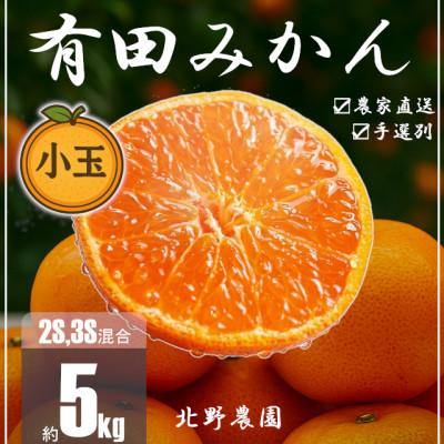 ふるさと納税 湯浅町 家庭用 有田みかん 和歌山 訳あり 小玉(2S,3Sサイズ混合) 5kg | 