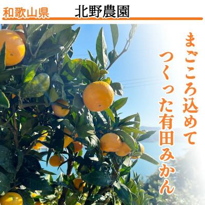 ふるさと納税 湯浅町 家庭用 有田みかん 和歌山 訳あり 小玉(2S,3Sサイズ混合) 5kg |  | 01