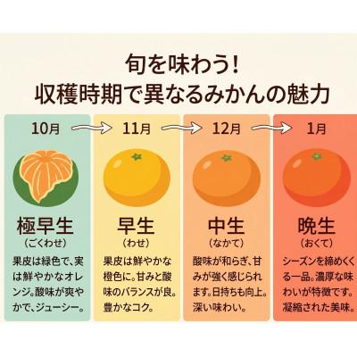 ふるさと納税 湯浅町 家庭用 有田みかん 和歌山 訳あり 小玉(2S,3Sサイズ混合) 5kg |  | 02