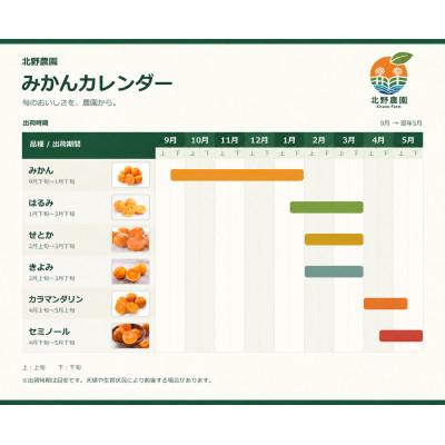ふるさと納税 湯浅町 家庭用 有田みかん 和歌山 訳あり 小玉(2S,3Sサイズ混合) 5kg |  | 03