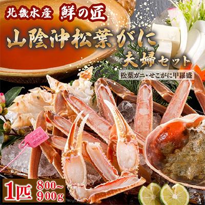 ふるさと納税 京丹後市 [1月〜3月発送]山陰沖松葉がに使用・松葉がに鍋セット&amp;せこがに甲羅盛り2個 自家製鍋だし付き