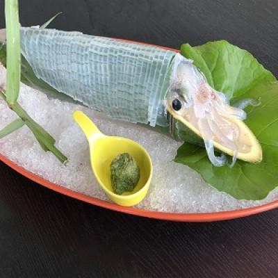 ふるさと納税 唐津市 呼子 大きいサイズのいか活き造り1杯(360g前後)