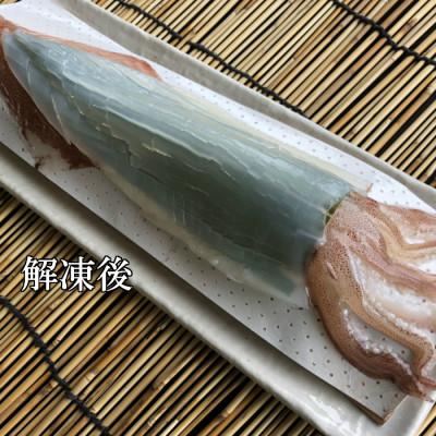 ふるさと納税 唐津市 呼子　大きいサイズのいか活き造り1杯(360g前後) |  | 03