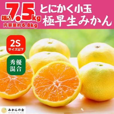 ふるさと納税 有田川町 小玉みかん 極早生 箱込7.5kg(内容量6.8kg) 2Sサイズ以下 秀優混合 有田みかん