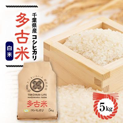 ふるさと納税 多古町 新米 令和8年産 たこまいらいふ萩原農場の多古米コシヒカリ(精米)5kg