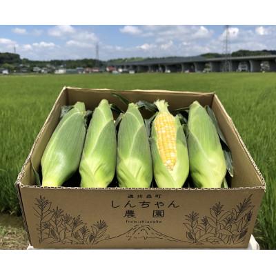 ふるさと納税 森町 [令和8年5月下旬より順次発送]森のとうもろこし9〜11本[森町SF]