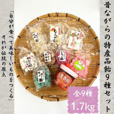 ふるさと納税 さつま町 特産品飴セット9種