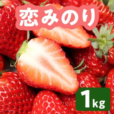 ふるさと納税 山鹿市 [2027年1月中旬より順次発送]熊本県産 恋みのり 約1kg(山鹿市)