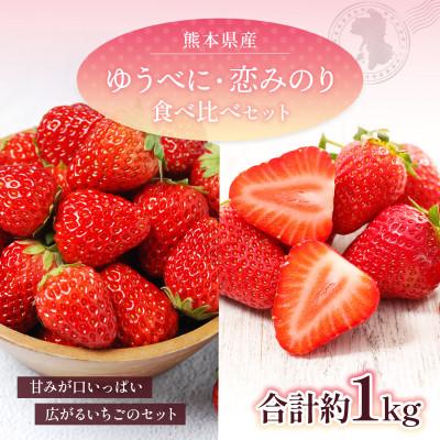 ふるさと納税 山鹿市 [2027年2月上旬より順次発送]熊本県産 ゆうべに・恋みのり食べ比べセット 合計約1kg(山鹿市)