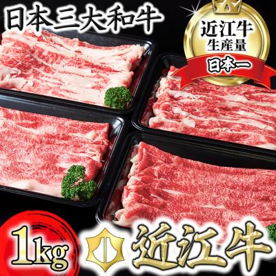 ふるさと納税 近江八幡市 【訳あり】A5 近江牛切り落としスライス 食べ比べ ブリスケ&バラ 1kg　250g×4パック | 