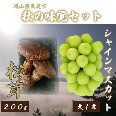 ふるさと納税 真庭市 [2026年先行受付]花笑み農園の岡山県産『松茸+シャインマスカット』秋の味覚セット