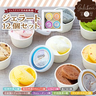 ふるさと納税 箕輪町 ジェラテリア宮本屋定番!ジェラート12個セット